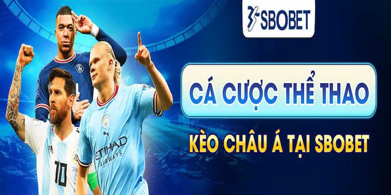 Sbobet – 5 nhà cái có tỷ lệ cược cao nhất bóng đá tuyệt vời
